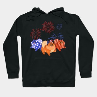 Red White Blue Pomeranian American Flag 4th Of July Hoodie